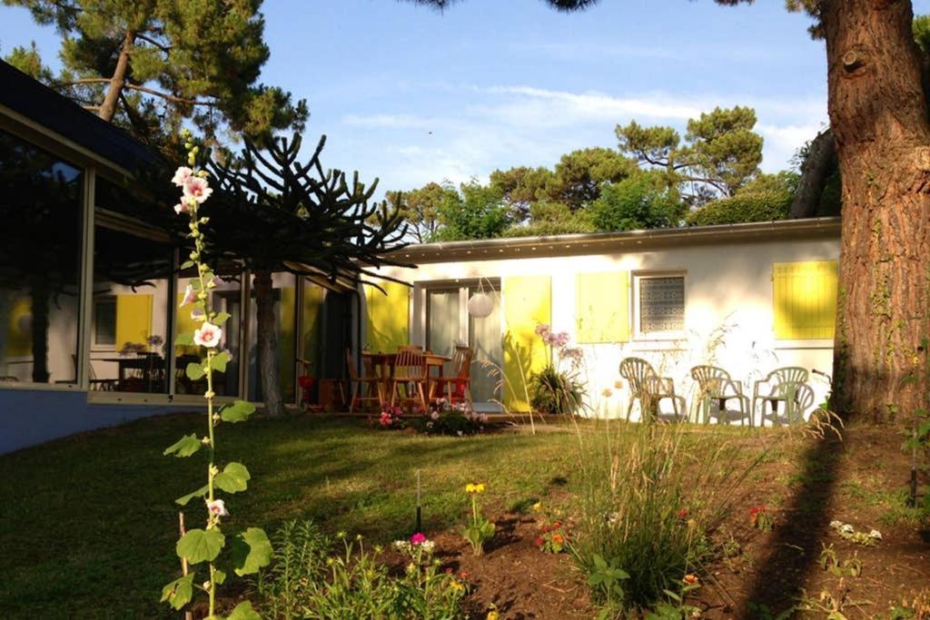 Villa Clair Accueil 圣乔治德蒂 外观 照片